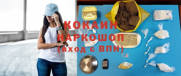 apvp Михайлов