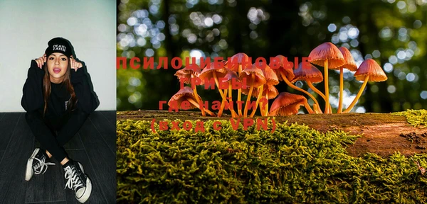 экстази Бородино