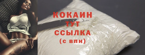 apvp Михайлов
