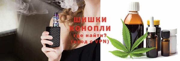 ешки Бронницы