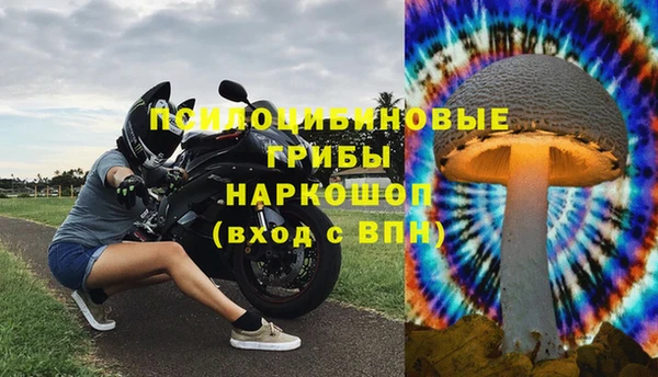 apvp Михайлов