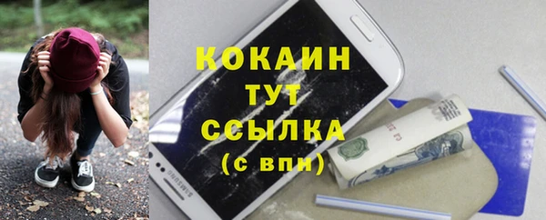 apvp Михайлов