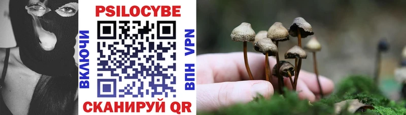 Галлюциногенные грибы Magic Shrooms  darknet клад  Джанкой  МЕГА рабочий сайт 