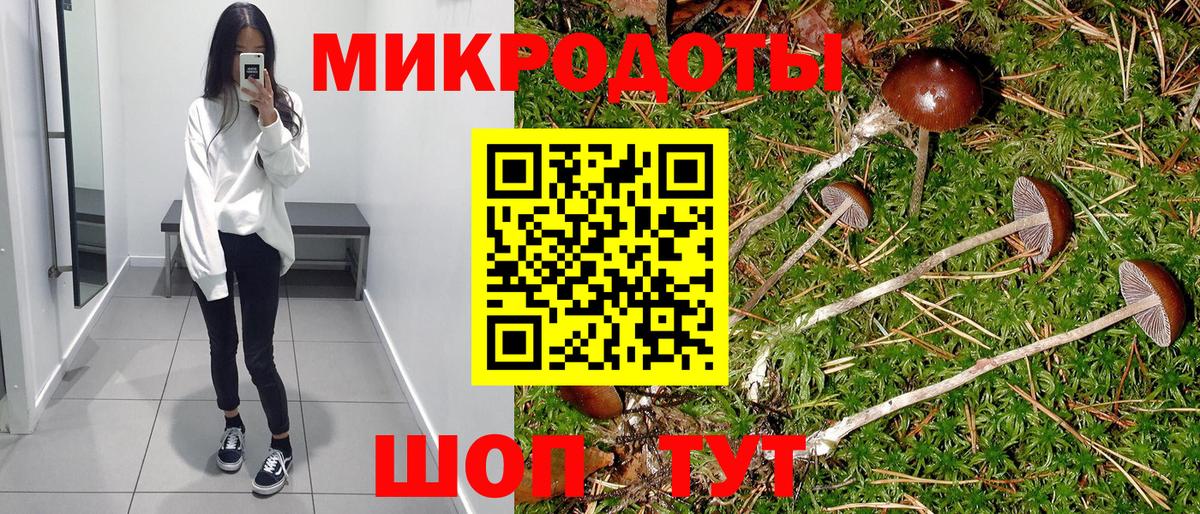 Галлюциногенные грибы Cubensis  Джанкой  Галлюциногенные грибы мухоморы 