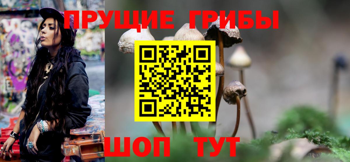 Псилоцибиновые грибы Cubensis Джанкой