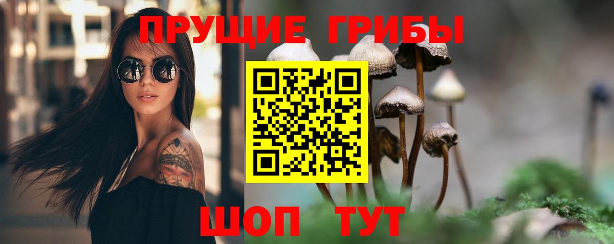 Псилоцибиновые грибы ЛСД  Вход с VPN  закладка  Псилоцибиновые грибы MAGIC MUSHROOMS  Джанкой 
